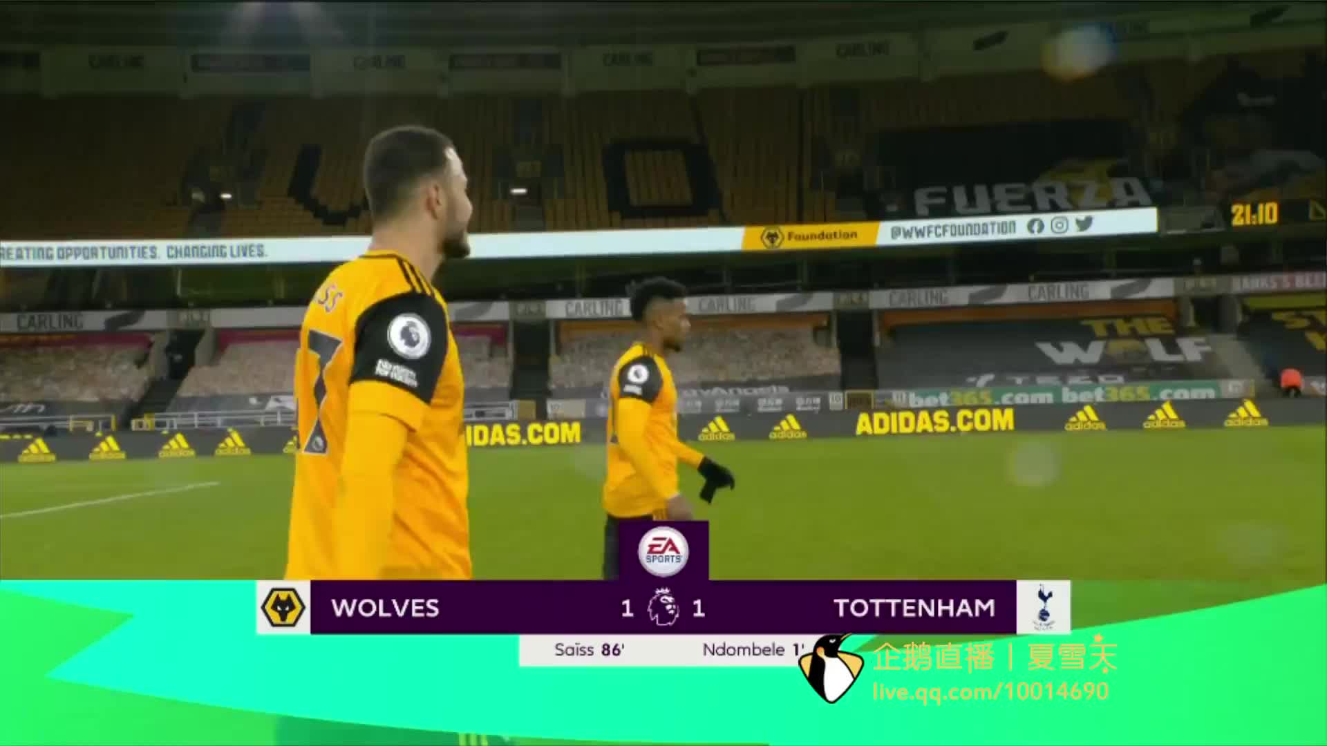 球迷的热情 球迷的热情